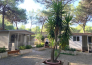 5 Riva dei Greci village Camping   Metaponto