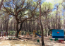 6 Riva dei Greci village Camping   Metaponto