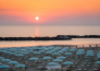 8 ROULETTE ASTA   EMILIA ROMAGNA