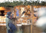 9 MERCATINI DI NATALE ALTO ADIGE TIROLO E CORTINA D AMPEZZO