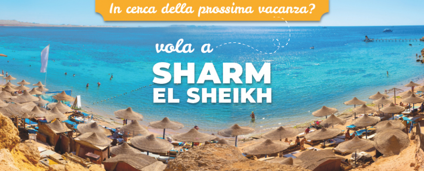 sharm banner 2 100